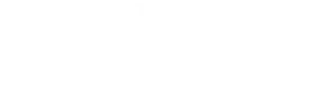 Aragon Capital logo